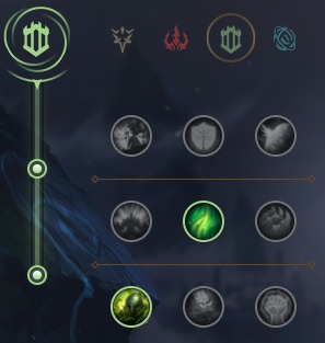 In the photo, one of the second rune tree options for Skarner